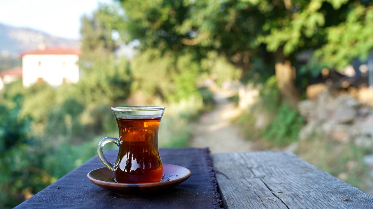 Даламан travel