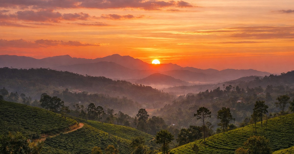 Коломбо travel