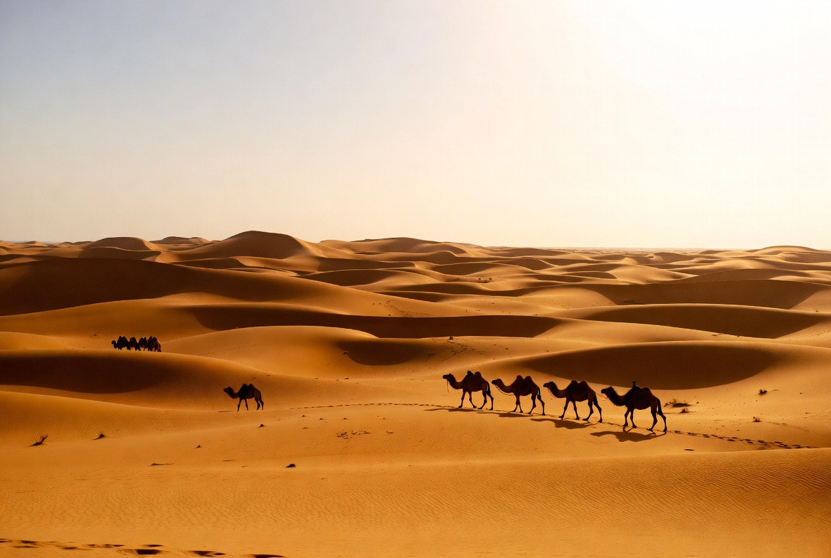 горящий тур Мрезга Тунис Le Zenith