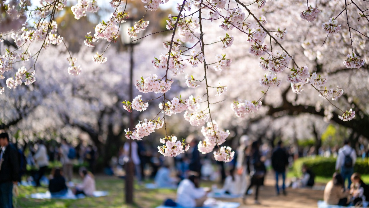дешёвые билеты Токио Япония