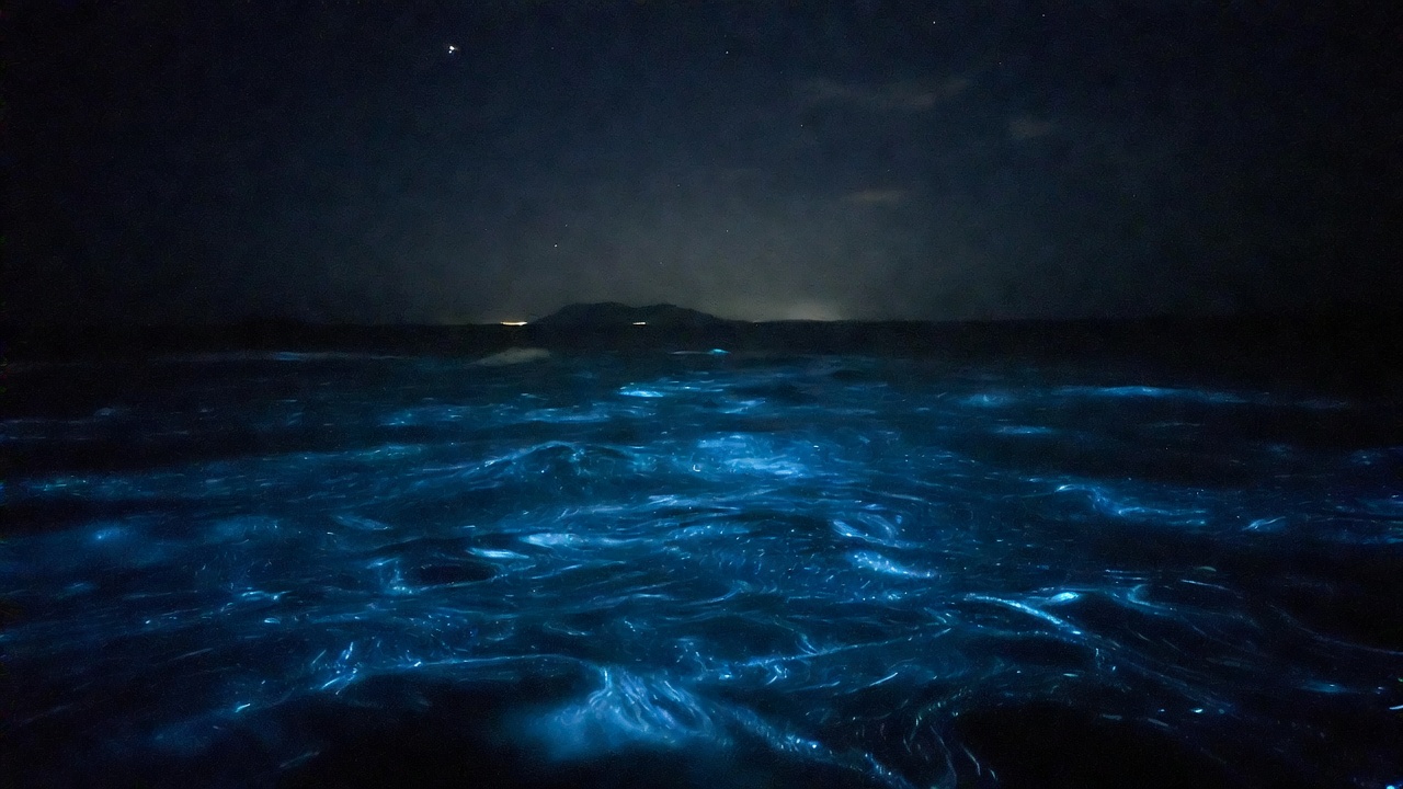 дешёвые билеты Сиануквиль Камбоджа