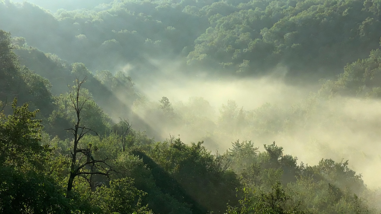 🔥 Москва — Гюмри за 18004 ₽