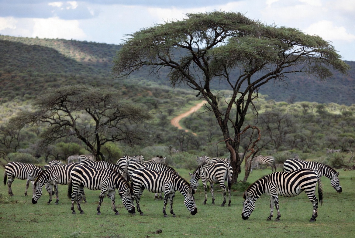 дешёвые билеты Йоханнесбург ЮАР